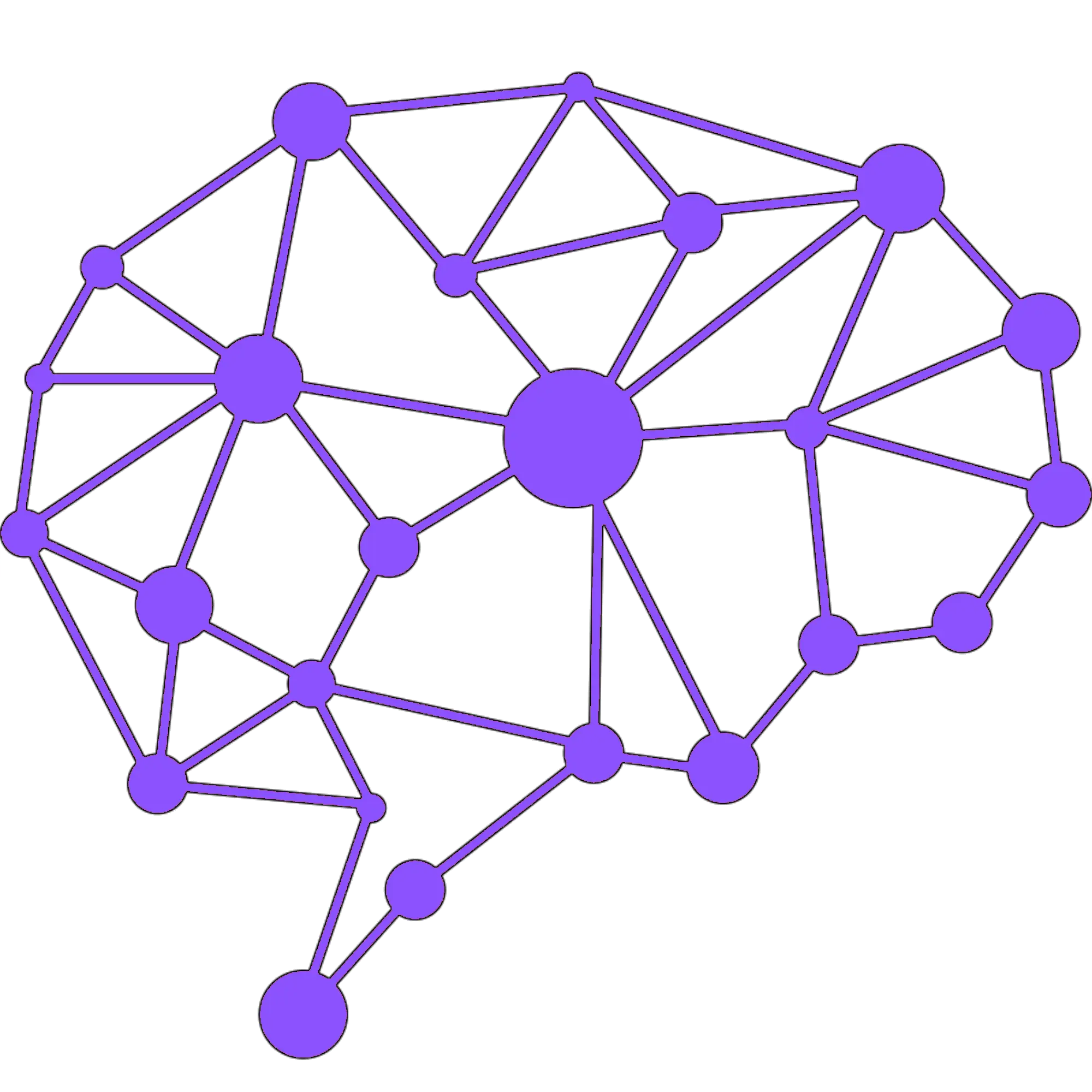 ZoraInsights logo