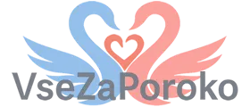 VseZaPoroko Wedding Portal – Plan Your Dream Wedding in Slovenia logo